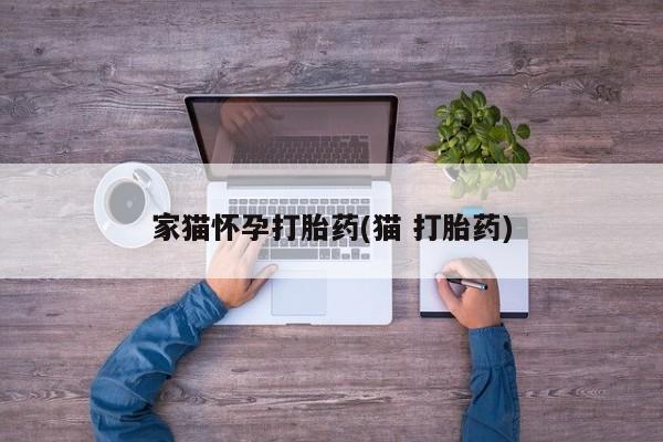 推荐个卖打胎药的微信家猫怀孕打胎药(猫 打胎药)